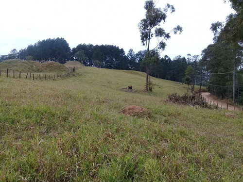 Imagem 13 de 18 de Terreno, Voturuna, Santana De Parnaíba - R$ 1.2 Mi, Cod: 235623 - V235623