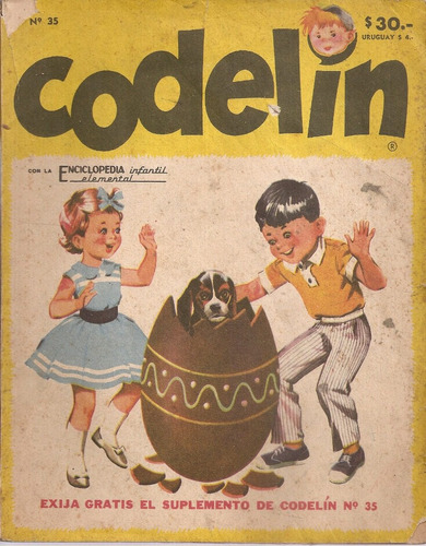 Revista Codelin Nº 35