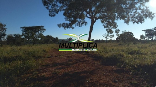 Chácara Em Uberlândia Escritura Individual 20.000 M² Apenas 20 Km Da Cidade - 399
