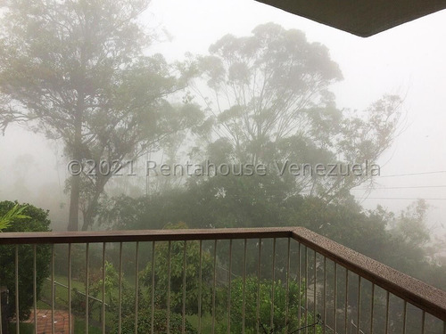 Imagen 6 de 26 de Oripoto Casa En Venta Cod.22-9945
