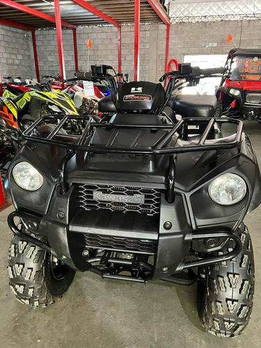 Imagen 8 de 19 de Kawasaki Bruteforce 300