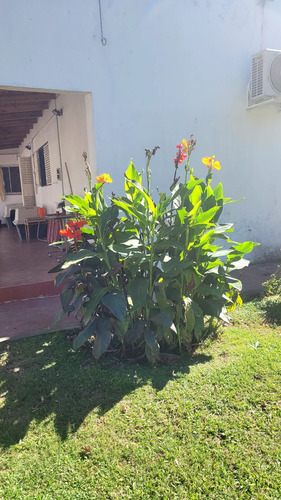 Casa - Villa Elisa