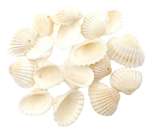 Conchitas De Mar Naturales Sin Agujero Decoración 