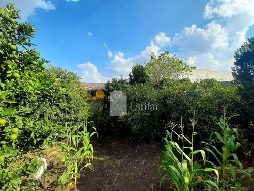 Imagem 6 de 16 de Terreno 625m² No Guatupê, São José Dos Pinhais - Te0189