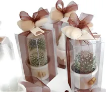 Comprar Regalo Corporativo Dia Especial Souvenir Ecológico Suculenta