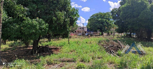 Chácara À Venda, 2625 M² Por R$ 540.000,00 - Heimtal - Londrina/pr - Ch0127