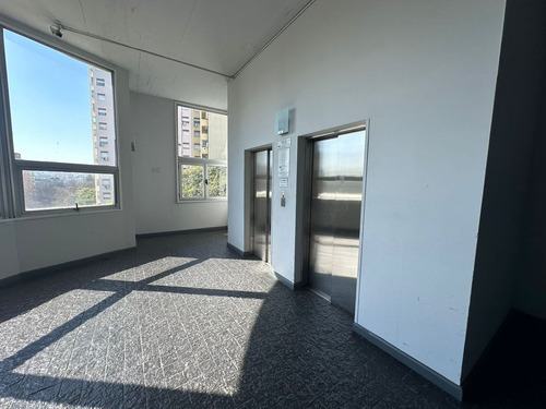 Venta Oficina En La Algodonera Con Cochera Doble
