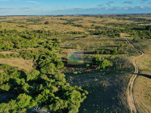Campo 180 Hás Rincón De José Ignacio