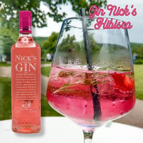 Gin Nicks Infusion Hibisco Premium Drink Original Preço Top
