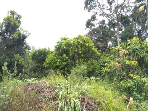 Imagem 6 de 15 de Cód 3193 - Excelente Sitio Com 26.000 M² - 3193