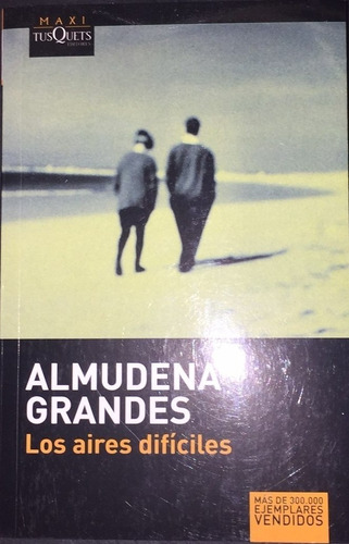 Los Aires Dificiles (maxi)                         Almudena