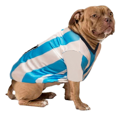 Remeras Camisetas Ropa Para Perros Mascotas   Argentina!