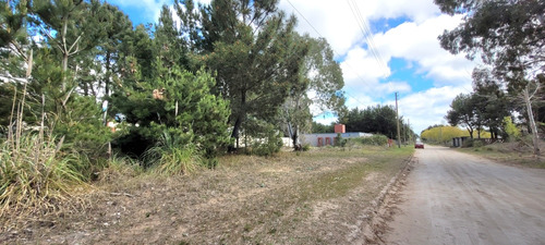 Venta Lote Terreno En San Bernardo 995 M2 Barrio Residencial