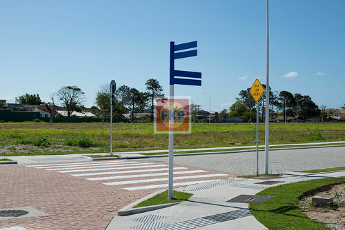 Imagem 6 de 22 de Terreno À Venda No Bairro Campeche - Florianópolis/sc - Ter0028