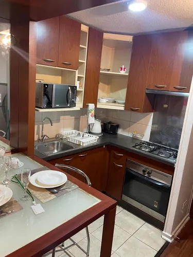 Comodos Departamentos En Bellas Artes