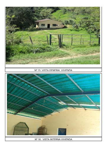 Venta De Finca Ganadera De 1000 Hectareas, Facil Acceso En Nirgua Yaracuy (salom)2
