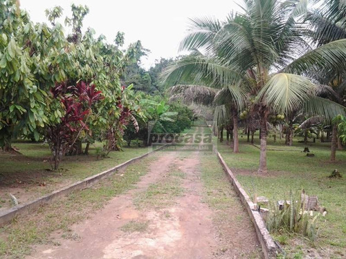 Chácara Com 4 Dormitórios À Venda, 10500 M² Por R$ 270.000,00 - Centro - Rio Preto Da Eva/am - Ch0046