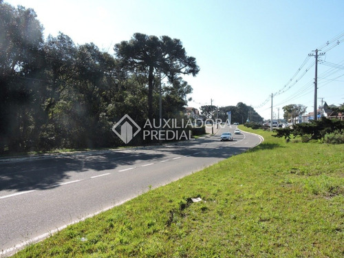 Imagem 6 de 13 de Terreno - Sao Jose - Ref: 262128 - V-262128