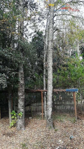 Sitio En Venta En Pucón