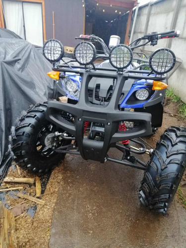 Imagen 3 de 10 de Cuatrimoto Atv Motor 250
