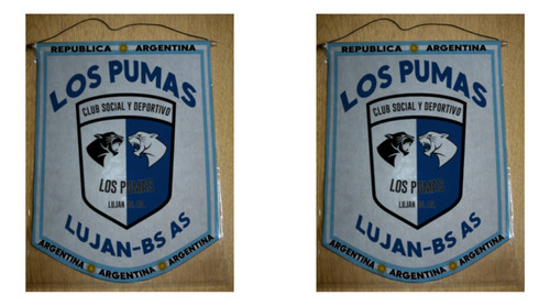 Banderin Grande 40cm Club Los Pumas Lujan