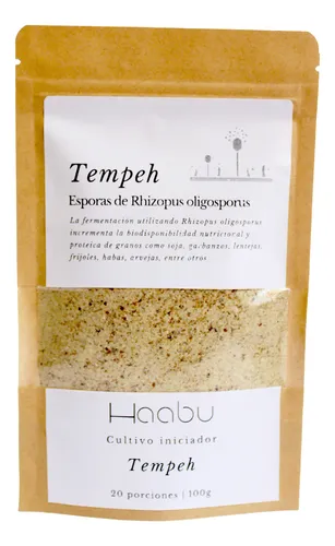 Tempeh Hongo Comestible Rhizopus Oligosporus Proteina Vegana