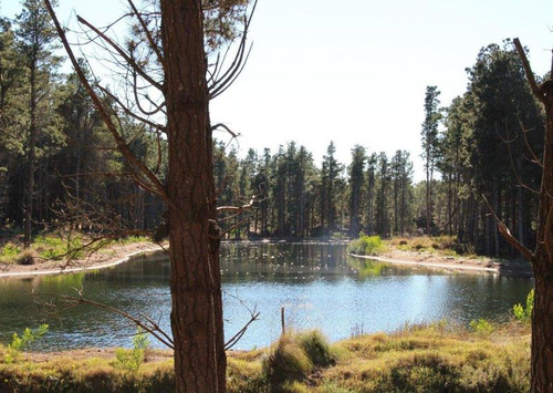 Imagen 14 de 25 de Venta - Lote Con Vista A Laguna Y Bosque En Viilla Robles - Barrio Cerrado