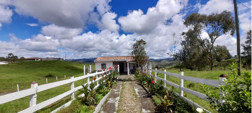 Venta De Finca En Santa Rosa De Osos, Antioquia