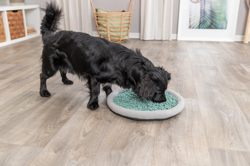 Plato Para Olfatear Trixie Alfombrilla Juego Interactividad Verde
