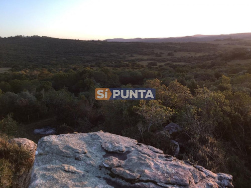 Imagen 12 de 13 de Chacras En Ruta 39 Próximas A Aigua.