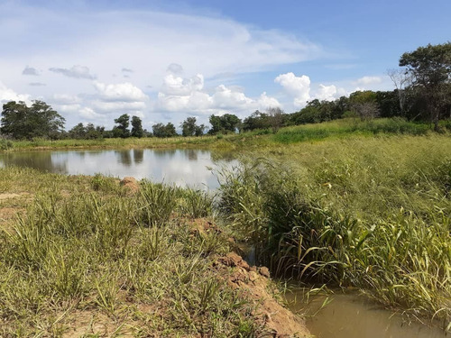 Imagen 13 de 15 de Finca En Venta, San Mateo, Anzoategui
