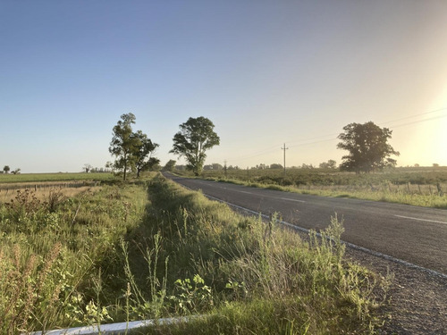 Imagen 2 de 14 de Campo De Casi 12 Hás En Ruta 40