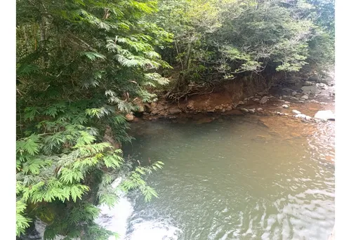 Lote 2000m2 - Venta - Los Pirineos Km 37 Vía Queremal Dagua