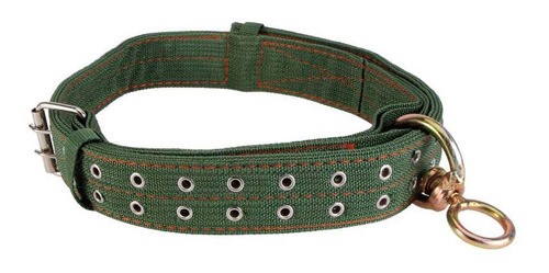 Collar De Lona Para Grandes Mascotas 65cm Maxima Resistencia