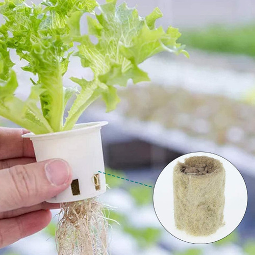 R 50 Pcs Flor Planta Starter Plugues Cubos Rocha Lã Cresce