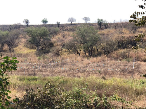 Imagen 2 de 6 de Oportunidad Compra Terreno A 5 Km Del Lago De Tequesquitengo