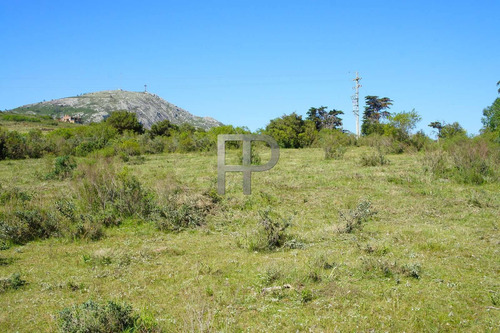 Imagen 5 de 5 de Campo En Venta Piriápolis 5 Hectáreas