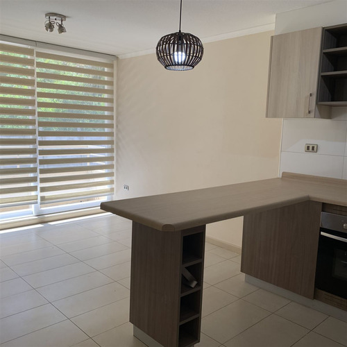 Arriendo Departamento De 1 Dorm Y Estacionam. En Concepción.