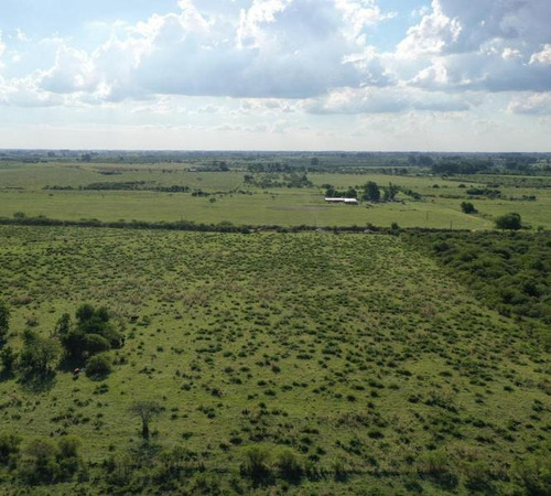 Imagen 3 de 12 de Lotes Rurales De 3,5 Has Cada Una En Ejido Colón