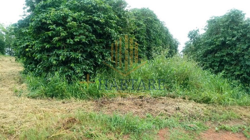 Imagem 13 de 15 de Fazenda Para Venda Em Ouro Fino, - - Fazenda 0_1-2221666
