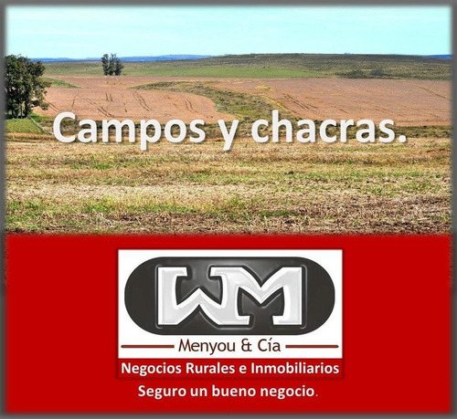 Imagen 3 de 5 de Venta Campo Hipotecas En Campos Y Casas En Uruguay