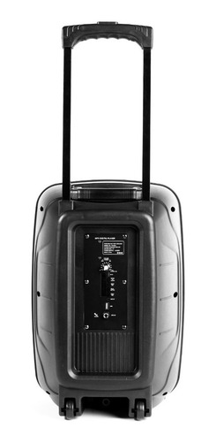 Bocina Bafle 12 Pulgadas Bluetooth Karaoke Micrófono Tedge Color Negro