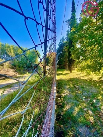 Imagen 2 de 10 de Greenwood Vende Excelente Propiedad Ideal Para Emprendimiento En El Hermoso Valle De Uco, Tunuyán