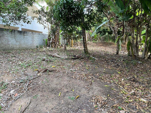 Imagem 1 de 14 de Terreno - Te00022 - 68225325