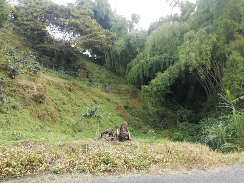 Imagen 30 de 30 de Vendo Finca En Avenida Condina Precio De Oportunidad