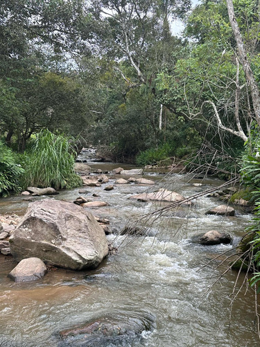 Terreno Magnífico Com Cachoeira E 02 Nascentes De Água