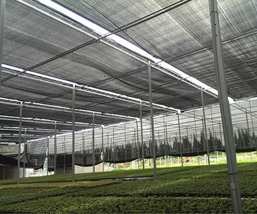 Malla Sombra Raschel Negra Rollo 70% 4.20x15 Mts