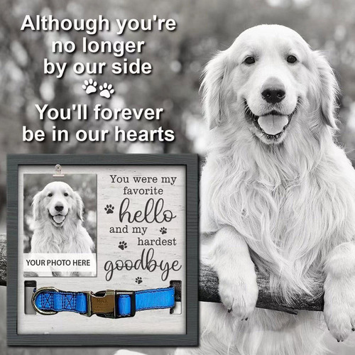 T Dog Cat Memorial Picture Frame Memorial Frame Con