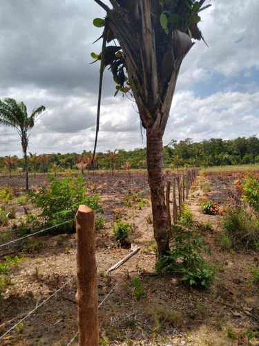 Imagem 1 de 8 de Vendo Terra Produtiva Com Água Corrente