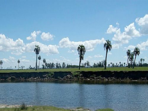 Campo En Rocha Ref. 5619